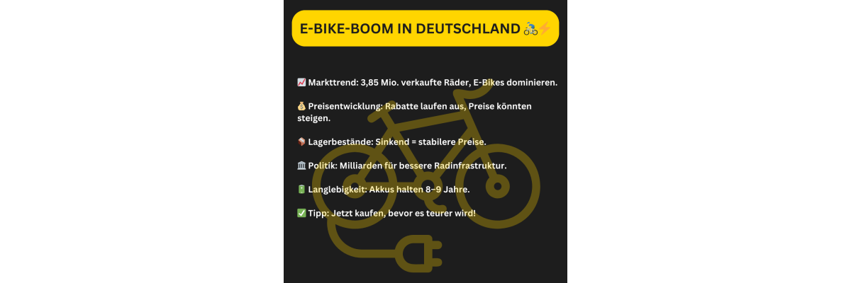 Erneut mehr Stromer verkauft: Warum die E-Bike-Branche boomt - E-Bike-Verkäufe steigen: Das Ende der Rabatte?