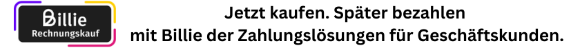 Viele Zahlarten bei AKKUman.de.