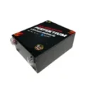 Perfektium LiFePO4 12.8V 300Ah Wohnmobil Batterie BMS