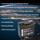 B-Ware Q-Batteries 12LCP-19 / 12V - 19Ah Blei Akku Zyklentyp AGM - Deep Cycle VRLA