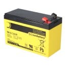 Ersatzakku für Brandmeldezentrale Bosch FPC-500 GLT 2 x AGM Batterie 12V 7,2Ah mit VdS