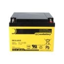 Ersatzakku für Brandmeldezentrale Esser Honeywell IQ8Control M 2 x AGM Batterie 12V 24Ah mit VdS